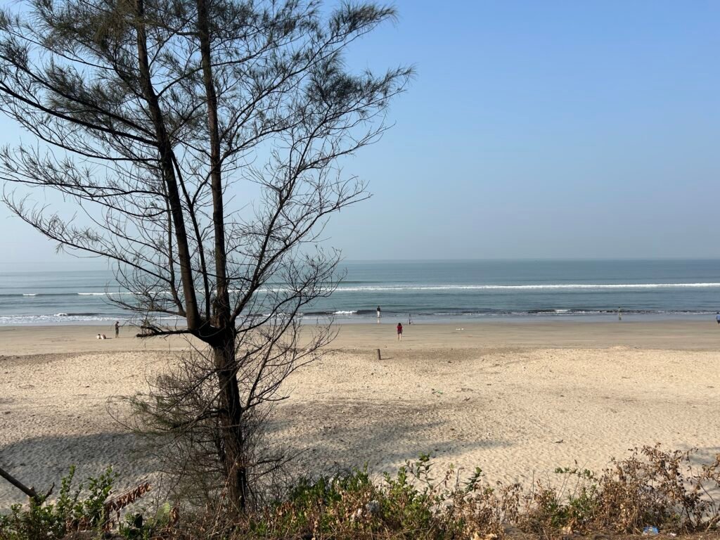Untouched Konkan Coastline Beach Scene