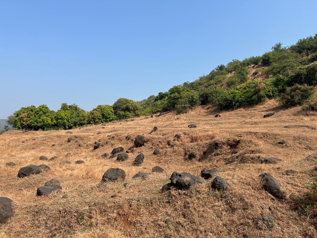 The deccan Plateau