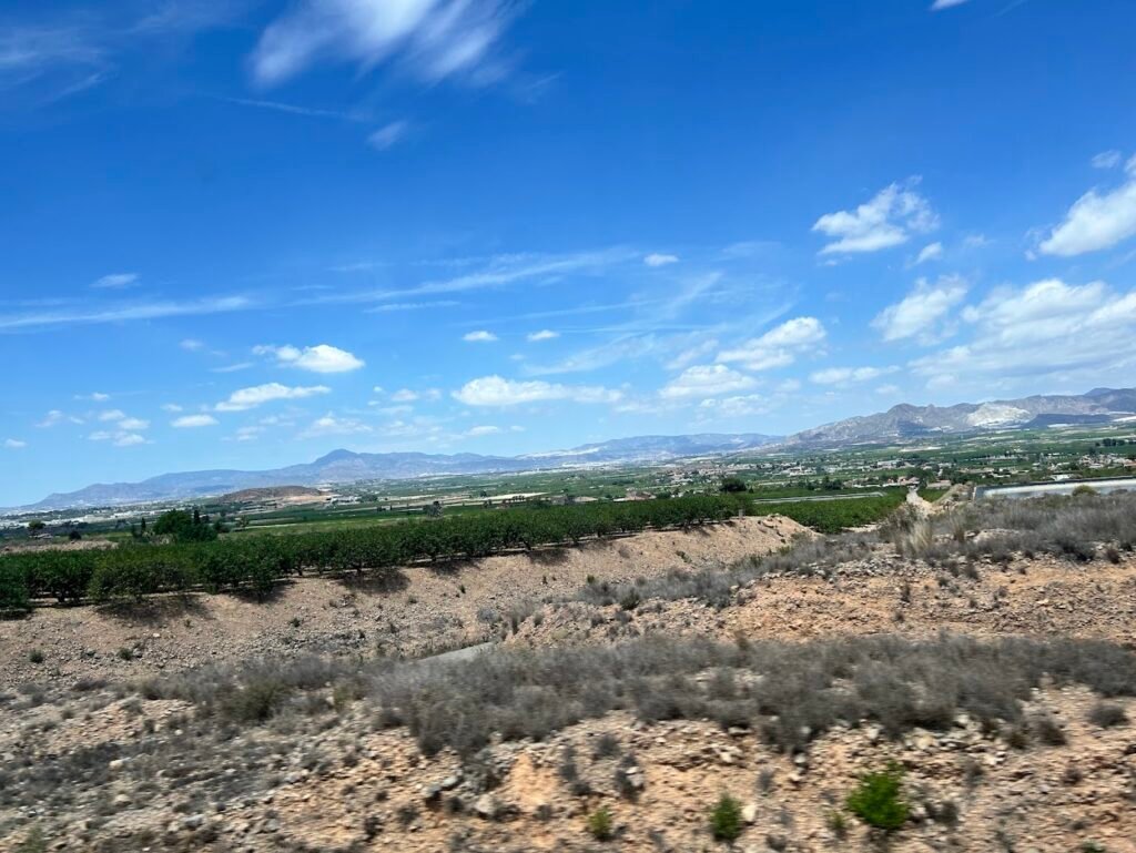 ajanta caves complex carved into cliffside valley