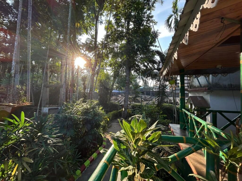 Morning Garden View in the Dooars