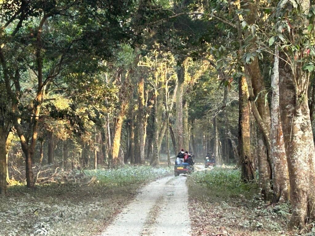 Forest safari vehicle driving along a jungle trail in the Dooars wildlife landscape.