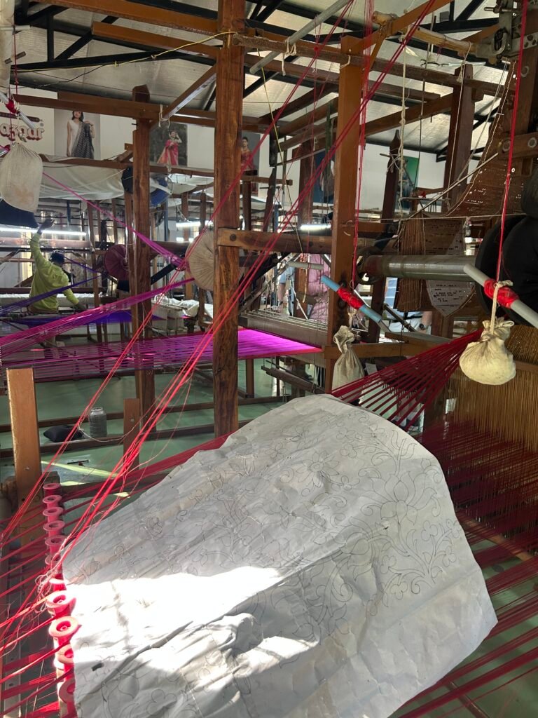 The Living Craft of Paithani Weaving in Ellora