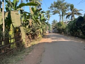 Quiet village road lined with coconut and banana trees in Konkan Maharashtra”