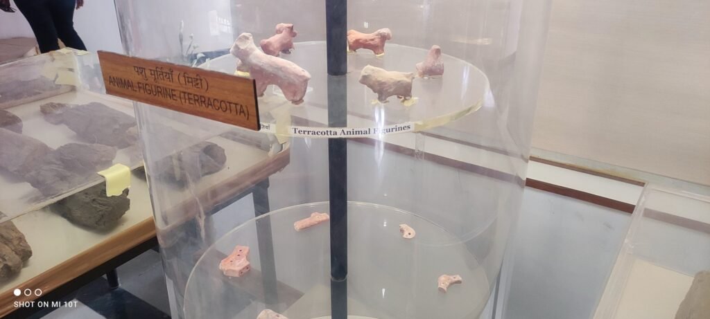 Terracotta animal figurines from the Indus Valley Civilization displayed at the Dholavira archaeological site museum in Gujarat.